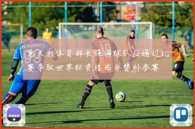 意大利体育部长强调球队应通过比赛争取世界杯资格而非替补参赛